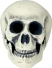 Skelet schedel, decoratie voor Halloween, griezelig Productafbeelding-voorbeeld 3