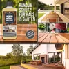 Holz Öl farblos für Möbel-Pflege & Holz-Schutz für innen Produktbild-Vorschau 4