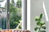 Bosch Smart Home Tür-/Fensterkontakt II Plus, Produktbild-Vorschau 5