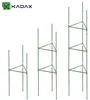 KADAX Supporto per pomodori 132 x 30 cm, 6 pezzi, torre per Anteprima dell’immagine prodotto 6