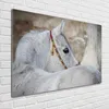 Tulup® Glas-Bild - 100 x 70 - Wandbild aus Glas - Wandkunst Produktbild-Vorschau 2