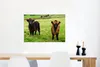 MuchoWow® Poster Schottische Hochlandrind - Gras - Kühe Produktbild-Vorschau 5
