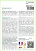 SAFLAX  - Cottage Garden - 1000 graines - Mix Voir les images du produit 3