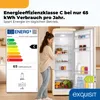 Exquisit RKS325-V-H-161C, 225 l, N-ST, 37 dB, C, Biały Podgląd zdjęcia produktu 2