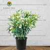 A potted white oleander plant is shown against a white brick wall with measurement markings. Produktbild-Vorschau