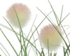 Dekopflanze Gras im Topf DEKO Produktbild-Vorschau 3