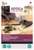 Tatsoi Red | Tatsoi Seeds by Buzzy Seeds Náhľad obrázku produktu 1