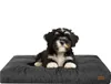 A puppy lying on a dog bed. Náhľad obrázku produktu