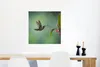 MuchoWow® Poster Kolibri im Regen auf dem Lande in Costa Produktbild-Vorschau 5