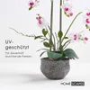 HOMESCAPES Künstliche weiße Phalaenopsis-Orchidee im grauen Produktbild-Vorschau 5