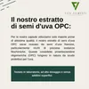 Vita Elements Estratto di Semi d'Uva OPC 240 Capsule Anteprima dell’immagine prodotto 2