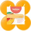 Bolsius Maxi-Lights Mango 8 kusov Náhľad obrázku produktu 4