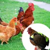 INF Reflecterend veiligheidsvest voor kippen, eenden en Productafbeelding-voorbeeld 3