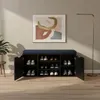 A shoe cabinet with a padded seat on top, placed against a wall with artwork and a floor lamp. Náhľad obrázku produktu