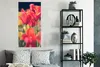 MuchoWow® Poster Tulpen - Blumen - Natur 60x120 cm - Produktbild-Vorschau 4