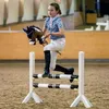 Hobby Horse Mustang marron - Taille A3 Voir les images du produit 6