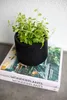 A black planter with a plant sits on top of two books. Produktbild-Vorschau