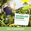 Neudorff Azet KaliumDünger 2 kg für mehr Aroma & bessere Produktbild-Vorschau 6
