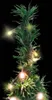 vidaXL Pop-Up-Weihnachtsbaum Künstlich 50 LEDs Grün 120 cm Produktbild-Vorschau 11