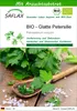 SAFLAX - BIO - Glatte Petersilie - 600 Samen - Mit Produktbild-Vorschau 1