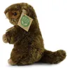 Peluche Marmotta 17 Cm Ecologico Anteprima dell’immagine prodotto 4