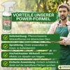 Mäuse & Ratten Abwehrspray 500 ml – Natürliches Mittel zur Produktbild-Vorschau 8