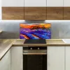 Coloray Spritzschutz aus Glas 100x50  Wandkunst Produktbild-Vorschau 3