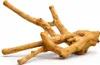 Java Multibranch L - Trespolo naturale per pappagalli Anteprima dell’immagine prodotto 4