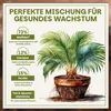 Green Home Grünpflanzen- & Palmenerde 72L – Pflanzenerde Produktbild-Vorschau 3
