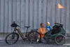 Qeridoo Kidgoo 1 - Kinderfahrradanhänger für 1 Kind, Farbe: Produktbild-Vorschau 5