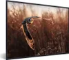MuchoWow® Gerahmtes Poster Vogel - Eule - Sonnenuntergang - Produktbild-Vorschau 1