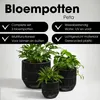 Mica Decorations Peta Bloempot voor Buiten – Set van 3 – Productafbeelding-voorbeeld 2