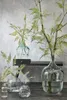 Mica Decorations Skleněný demižon výška 30 cm, průměr 18 cm Náhled obrázku produktu 6