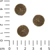 1,5 kg - Schecker Strauß und Hirse Premium Trockenfutter - Produktbild-Vorschau 3