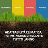 LERAVA® Semena trávníku – bermudská tráva [mimořádně odolná Náhled obrázku produktu 7