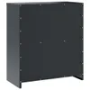 The back view of a dark grey metal filing cabinet on a white background. Náhľad obrázku produktu