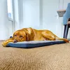 Ergonomická podložka pro domácí mazlíčky Petzzz Diva XL 120 Náhled obrázku produktu 14