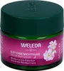 Weleda Wildrose & Weiß er Tee Glä ttende Nachtcreme Produktbild-Vorschau 9