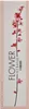 A vertical box for a perfume with a floral design and text. Voir les images du produit
