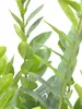 Europalms Zamifolia Kunstpflanze 70cm 82600153 Náhľad obrázku produktu 5