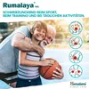 Himalaya Rumalaya gel 50 g BI8578 Náhled obrázku produktu 4