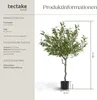 Umělý olivovník Oleand, realistická textura - 120 cm Náhled obrázku produktu 11