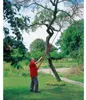 WOLF-Garten 71ACA004650, Amboss-Astschere, 3,8 cm, Produktbild-Vorschau 7