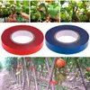 Agrafeuse Tapener pour plantes grimpantes sur ruban potager Voir les images du produit 8