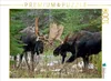 CALVENDO Puzzle Gefecht | 1000 Teile Lege-Größe 64x48cm Produktbild-Vorschau 2