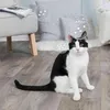 TRIXIE Catnip Seifenblasen, Katze, Blasen, Transparent Produktbild-Vorschau 5