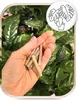 Nährstoffstäbchen für Zimmerpflanzen - 30 Stück - 90 Tage Produktbild-Vorschau 3