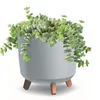 A succulent plant in a gray pot with wooden legs, isolated on a white background. Produktbild-Vorschau
