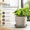 Pflanztopfuntersetzer Mira Anthrazit Ø 58cm - Frostsicher & Produktbild-Vorschau 7