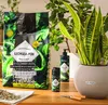 Dlhodobý Tuhý Hnojiv Pre Zelenné Rastliny 0.15Kg Lechuza Náhľad obrázku produktu 5
